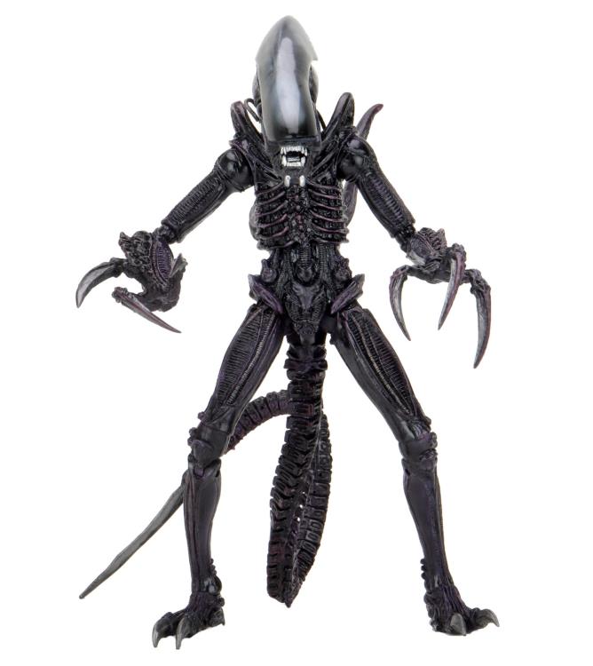 Alien vs Predator - 7