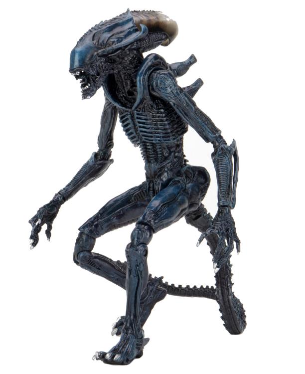 Alien vs Predator - 7