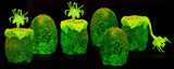 Alien - Xenomorph Egg Set in Collectible Carton (Glow in the Dark)