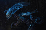 Aliens: Ultra Deluxe Boxed Action Figure - Xenomorph Queen