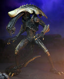 Alien vs Predator - 7" Action Figure: Chrysalis Alien (Movie Deco)