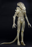 Aliens - 1/4th Scale Figure : Alien (Translucent Concept)