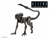 Aliens: Fireteam Elite - 7" Action Figure: Runner Alien