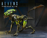 Aliens: Fireteam Elite - 7" Action Figure: Burster Alien