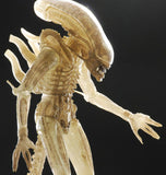Aliens - 1/4th Scale Figure : Alien (Translucent Concept)