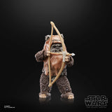 Star Wars Black Series 6" : Return of the Jedi: 40th Anniversary - Wicket