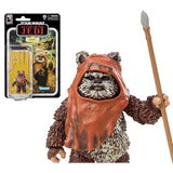 Star Wars Black Series 6" : Return of the Jedi: 40th Anniversary - Wicket