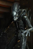 Alien 40th Anniversary - 7" Action Figure: The Alien (Classic Big Chap)