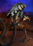Alien vs Predator - 7" Action Figure: Chrysalis Alien (Movie Deco)