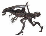 Aliens - Ultra Deluxe Boxed Figure: Alien Resurrection Queen