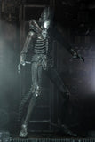 Alien  - 7" Scale Action Figure: Ultimate 40th Anniversary Big Chap