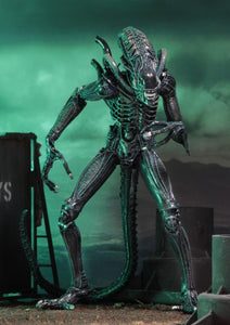 Aliens - 7" Scale Action Figure: Ultimate Xenomorph Warrior (Blue)