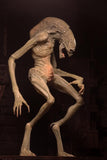 Alien Resurrection - 7" Scale Figure: Deluxe Newborn