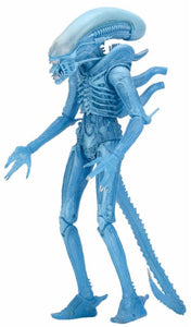 Aliens Kenner - 7" Scale Action Figure - Series 11: Warrior Alien