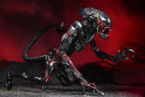 Aliens - 7" Scale Action Figure: Ultimate Night Cougar Alien (Kenner Tribute)
