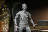Universal Monsters: 7" Scale Action Figure - Ultimate Mummy (Color)