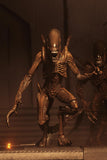 Alien Resurrection -  7" Scale Action Figure - Series 14: Xenomorph Warrior