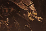 Aliens - Ultra Deluxe Boxed Figure: Alien Resurrection Queen